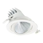 Philips Foco LED LuxSpace Accent Performance RS781B 31.5W 2700lm 36D - 930 Luz Cálida | 170mm - Mejor Reproducción De Color