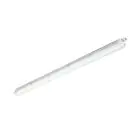 Philips Pantalla LED Estanca CoreLine WT120C G3 37W 6000lm - 840 Blanco Frio | 150cm - Luz De Emergencia 3 Horas - Reemplazo 2x58W
