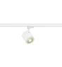 SLV Foco En Carril Enola C 3 Fases Aluminium Whit Esféricae 11W 1040lm 55D - 830 Luz Cálida